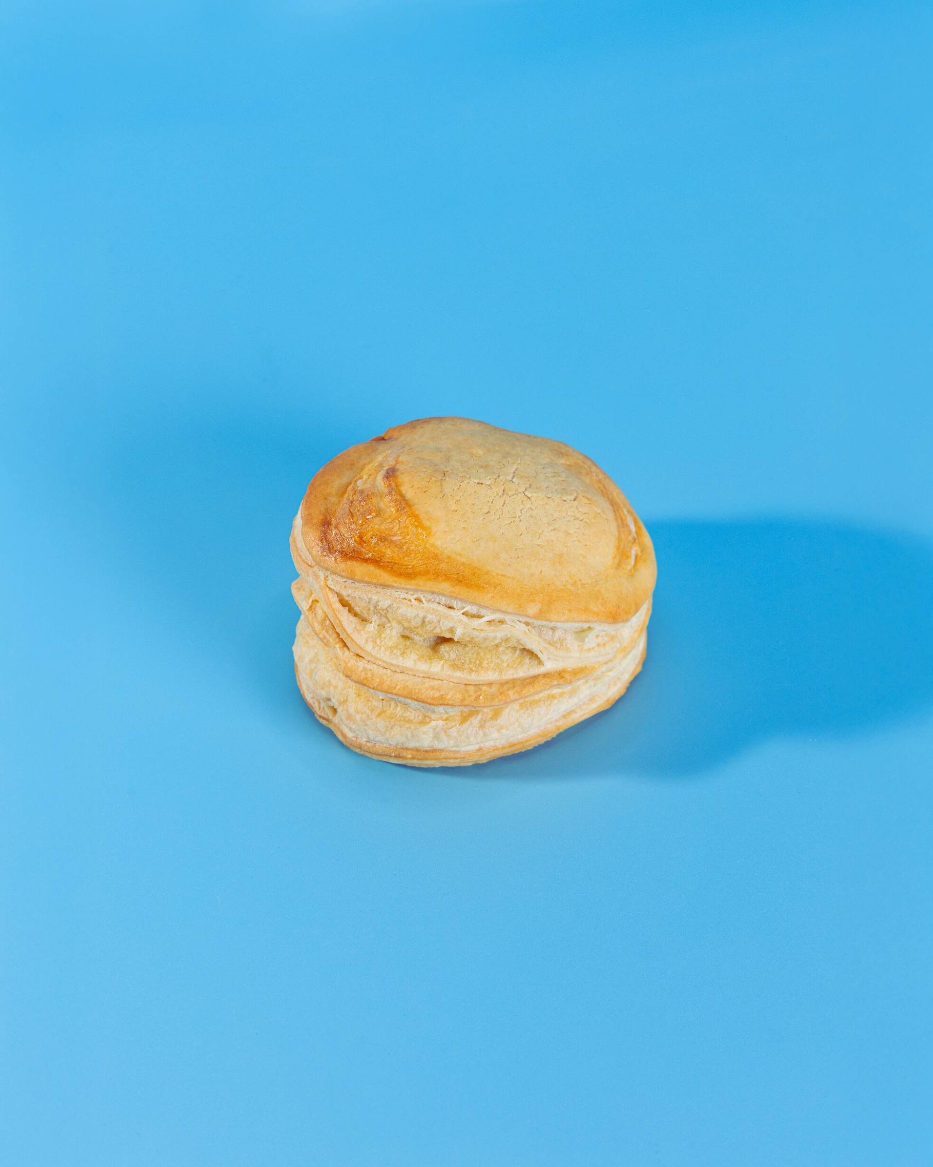 Pastelitos de Pollo
