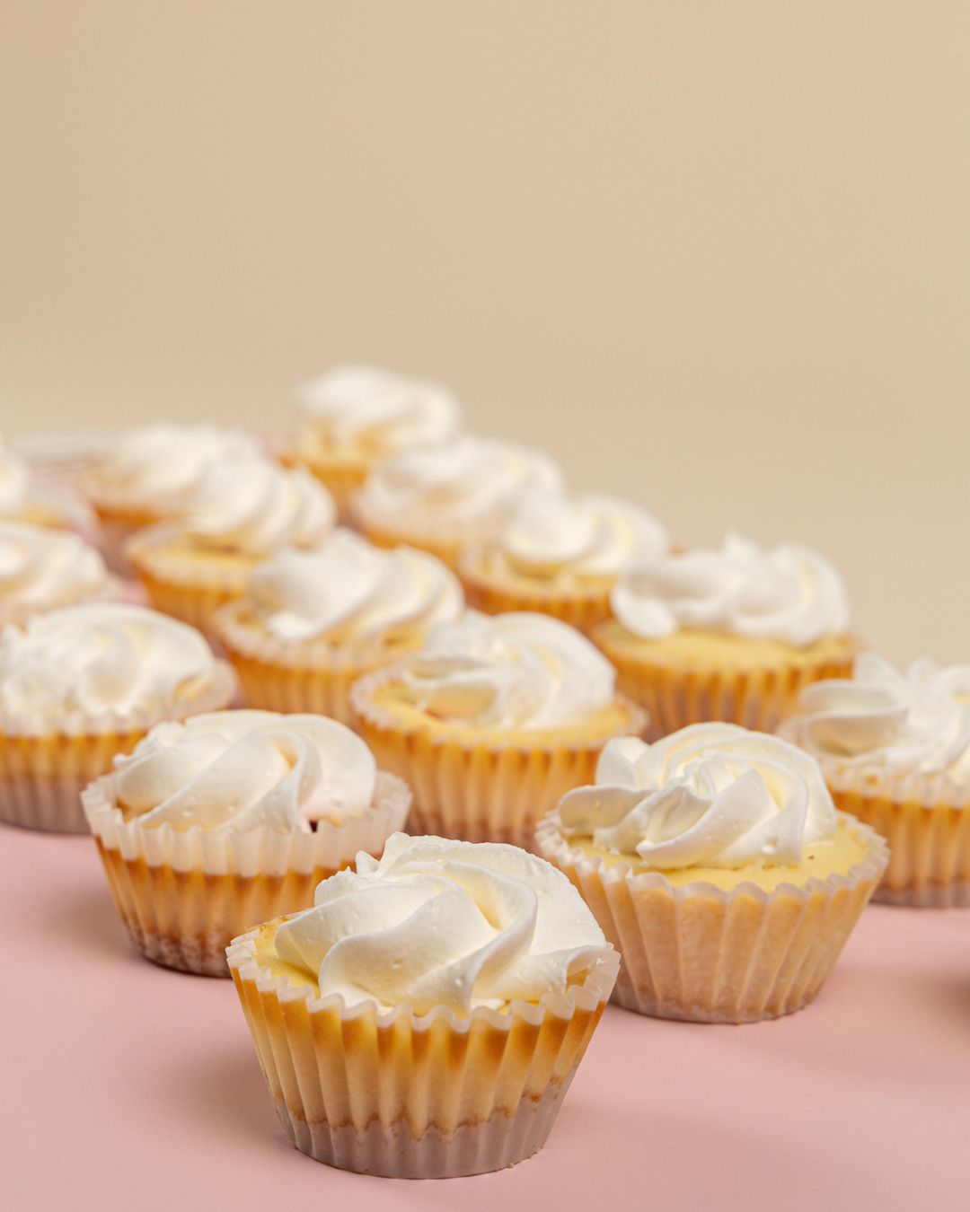 Bandeja de mini cheesecake (25 uds.)